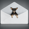 Deliverability Reminders: Subject Line Tips