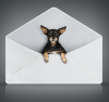 Deliverability Reminders: Subject Line Tips