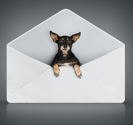 Deliverability Reminders: Subject Line Tips